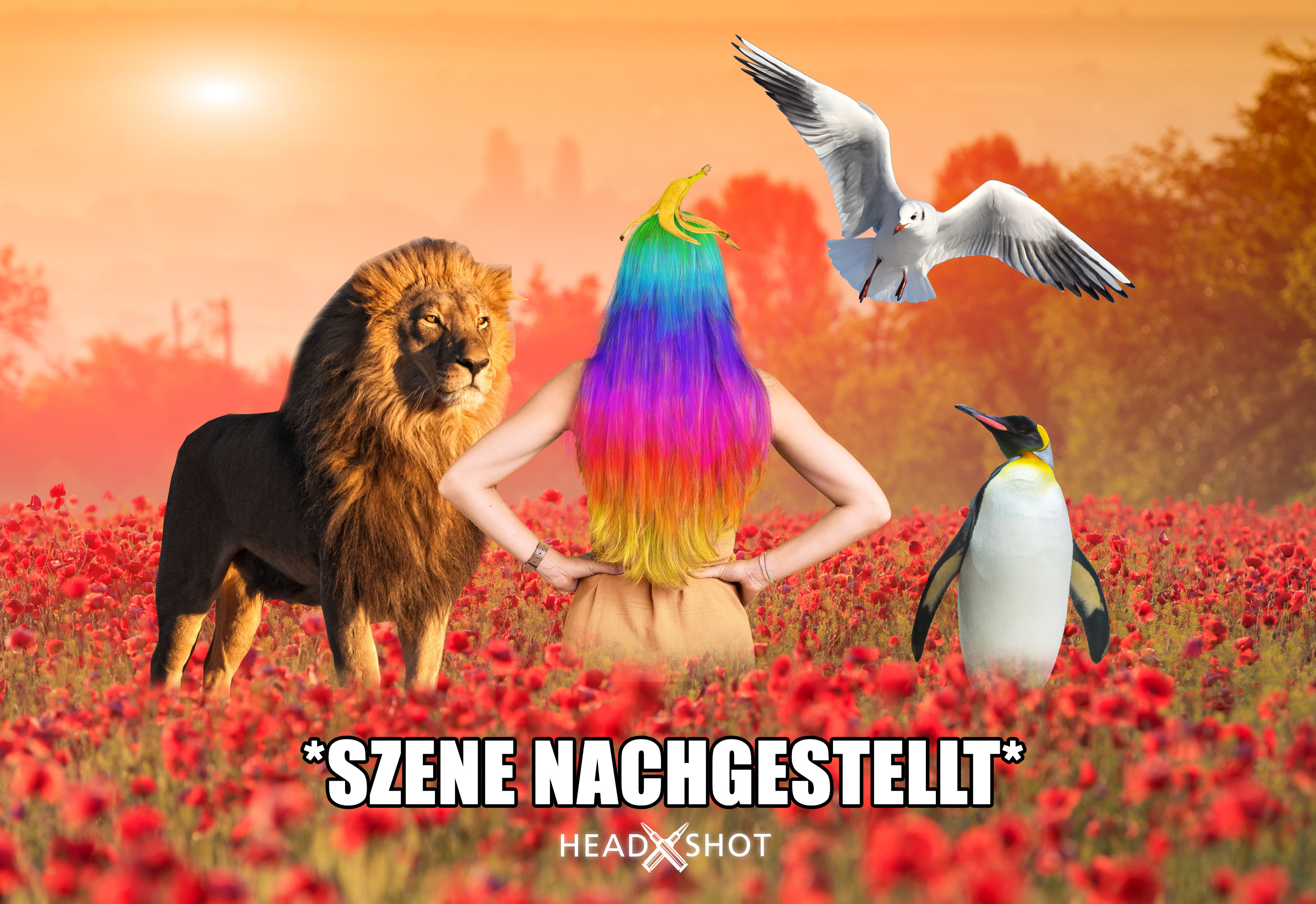 Geschichte-von-Headshot-Haarfarbe geschichte-von-headshot-haarfarbe